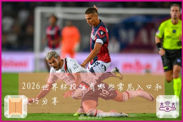 2026世界杯投注有哪些常见入口和技巧分享