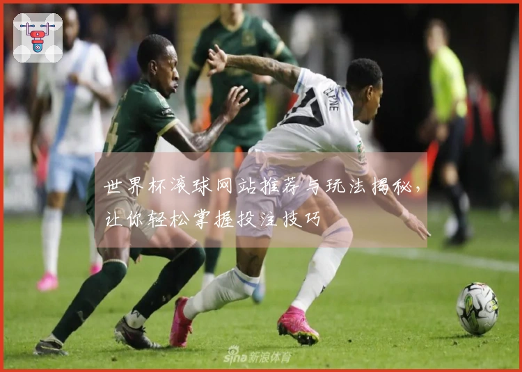 世界杯滚球网站推荐与玩法揭秘，让你轻松掌握投注技巧
