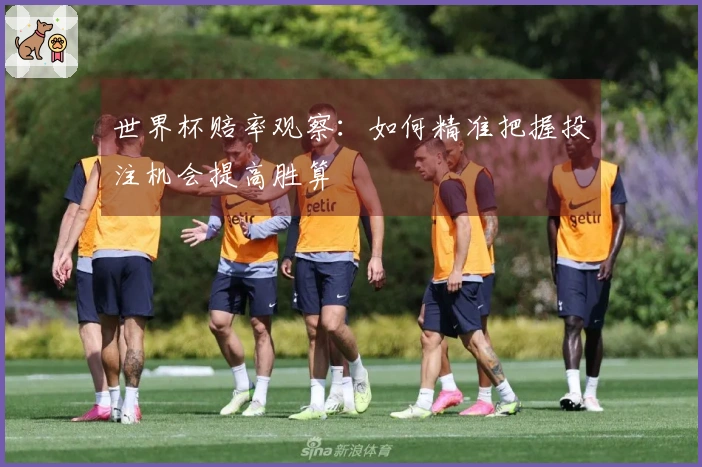 世界杯赔率观察：如何精准把握投注机会提高胜算