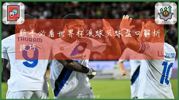 新手必看世界杯滚球买球盘口解析技巧