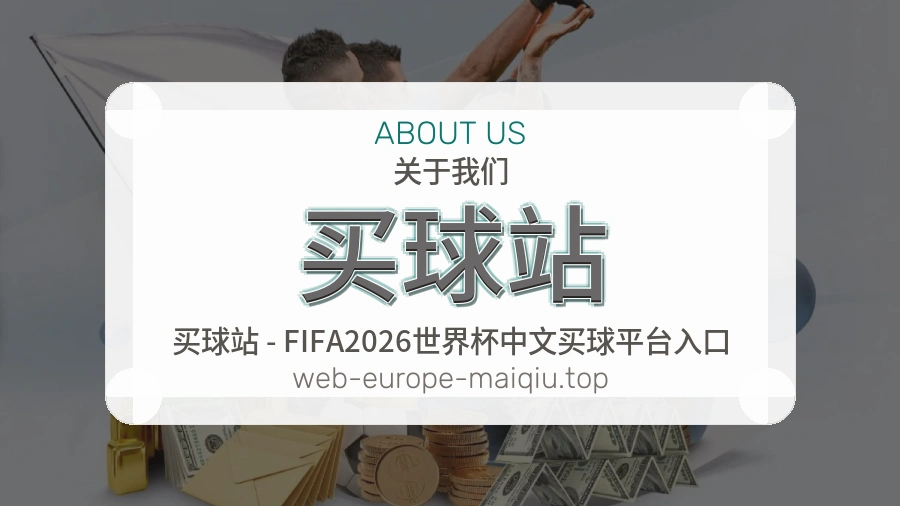关于 买球站 团队与服务